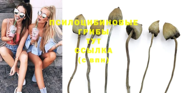 стафф Куйбышев