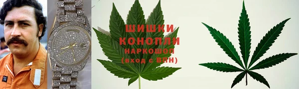 стафф Куйбышев