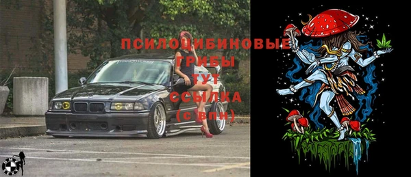 стафф Куйбышев