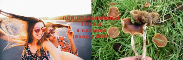 каннабис Кулебаки