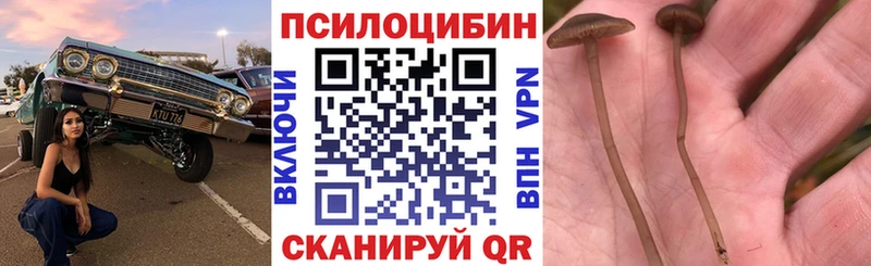 Галлюциногенные грибы прущие грибы Купить закладки Калтан