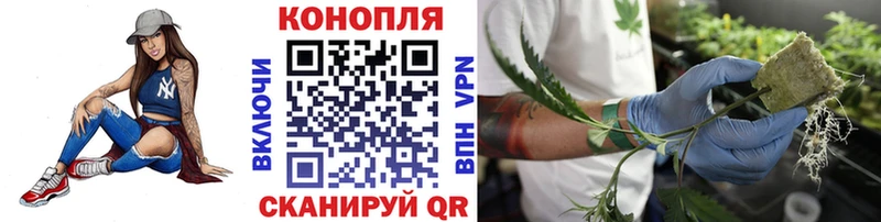 Купить закладки  Калтан  Конопля LSD WEED 